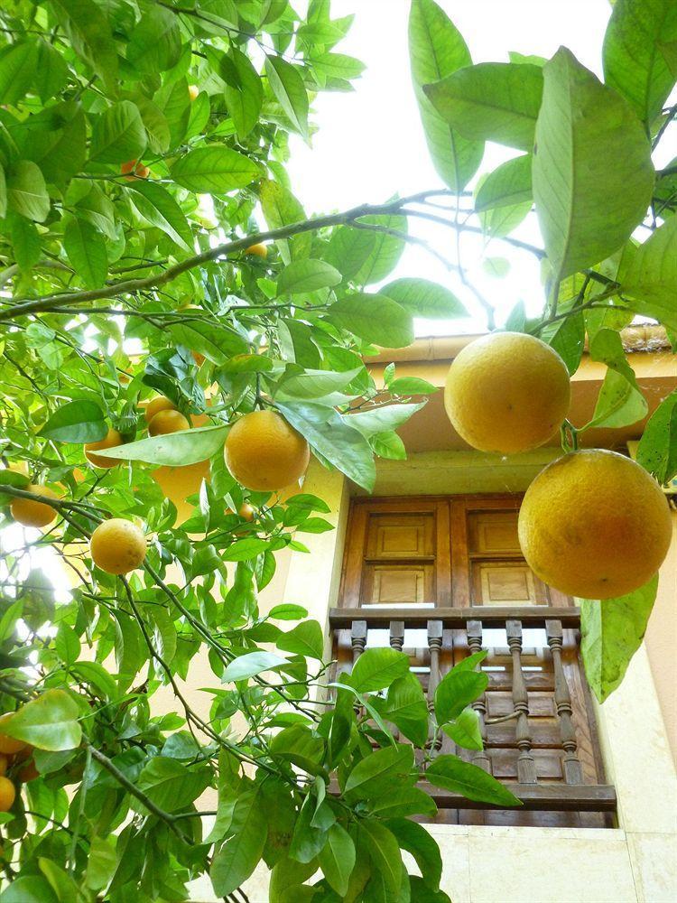 Hotel Rural La Balconada โอเบียโด ภายนอก รูปภาพ